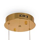 Потолочная чаша Freya FR5257A-L2G1 Tier