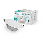 Встраиваемый Светильник Gauss 999420205 Elementary Downlight