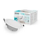 Встраиваемый Светильник Gauss 999420205 Elementary Downlight