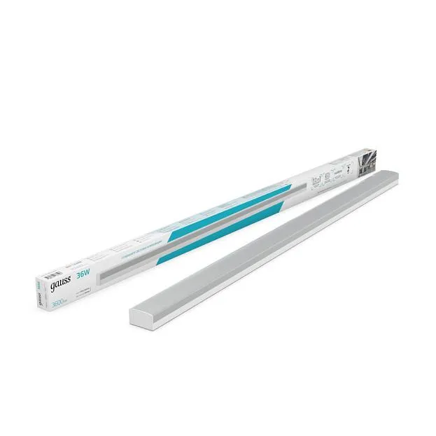 Настенно-потолочный светильник Gauss 883525236