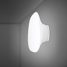Настенно-потолочный светильник Fabbian F07G1901 Lumi