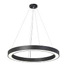 Подвесная люстра Vitaluce V3890-1/1S