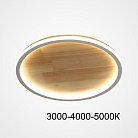 Потолочный светильник DOLAN D50 Трехцветный свет ImperiumLoft 223956-23 dolan01