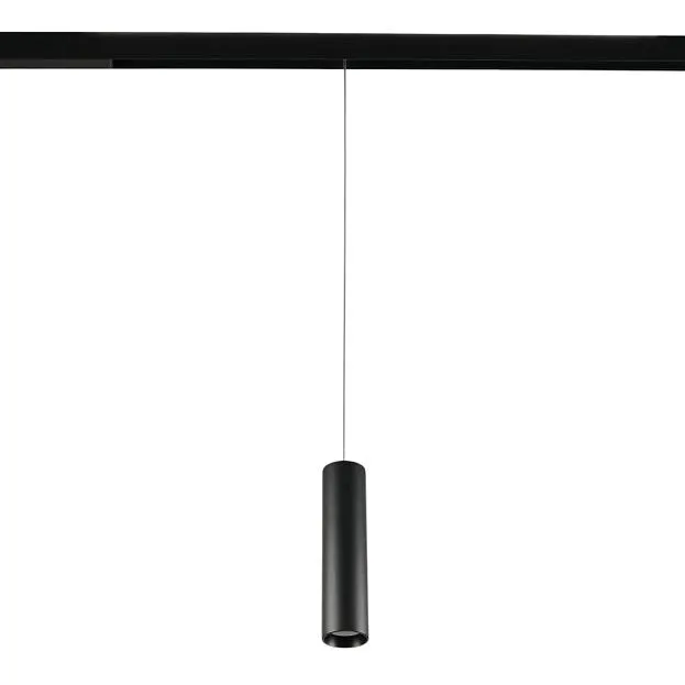 Трековый светильник MyFar MT0221-20W3K-S-B Ray