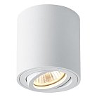 Потолочный светильник Feron 41469 ML179