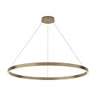 Подвесной светильник Maytoni MOD058PL-L54BS3K Rim