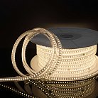 Светодиодная лента Elektrostandard LS014 220V a053637