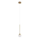 Подвесной светильник Loft IT 10251 Gold Algorithm