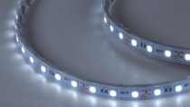 Светодиодная лента SWG SWG560 SWG560-12-14.4-UW-66-M