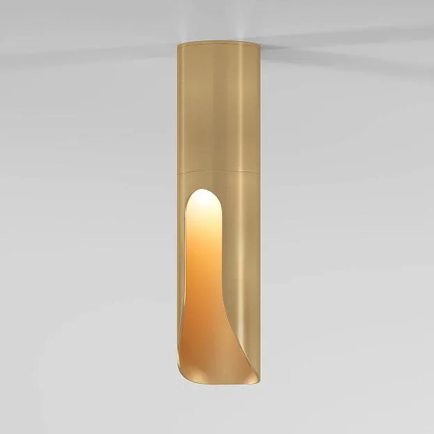 потолочный акцентный светильник Elektrostandard 25113/LED Apex a068290