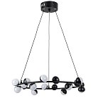 Светильник Подвесной Arte Lamp A3619SP-18BK DEXTER