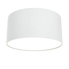 Потолочный светильник Maytoni C032CL-L12W3K Zon