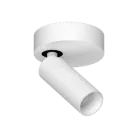 Накладной поворотный светодиодный светильник Ledron SAGITONY R1 S40 White