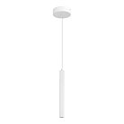 Светильник подвесной ST-Luce ST614.503.06