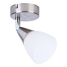 Спот Toplight TL1232Y-01SN Keziah