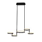 Подвесной светильник длинный Delight Collection MD20001002-5A matt black