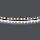 Лента холодного белого свечения 24V Lightstar 420805