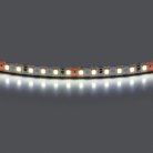 Лента холодного белого свечения 24V Lightstar 420805