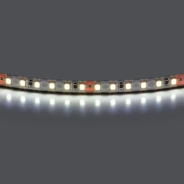 Лента холодного белого свечения 24V Lightstar 420805 Лента холодного белого свечения 24V Lightstar 420805