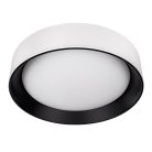 Потолочный светильник Loft IT 10202 WB Coin