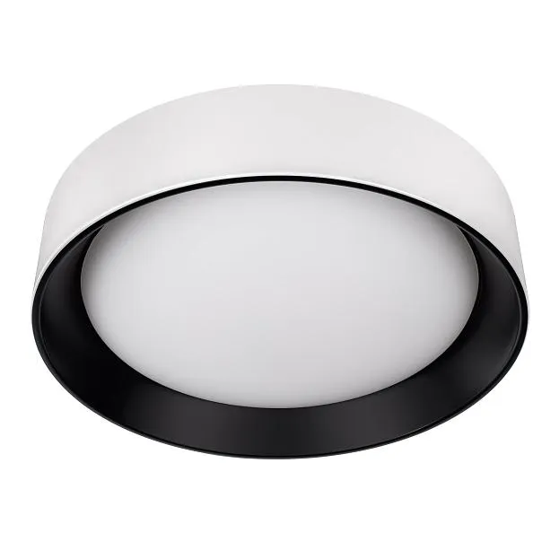 Потолочный светильник Loft IT 10202 WB Coin