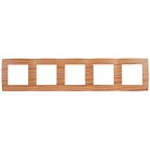 Рамка ЭРА 12-5005-09