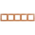 Рамка ЭРА 12-5005-09