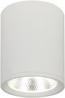 Точечный светильник Escada 20003SMU/02LED SWH 20003