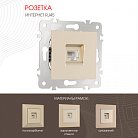 Розетка интернет RJ45 Arte Milano 203.45-1.shampan am