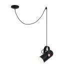 Подвесной светильник Favourite 2007-1P Ampolla