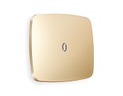 Лицевая панель OMEGA (Шампань) для 1-клавишных выключателей с подсветкой Ambrella Volt OP6020 QUANT