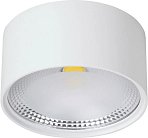 Потолочный накладной светильник светодиодный Wertmark WTA.O02.007.V0.12