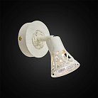 Спот настенно-потолочный Citilux CL519515 Винон