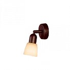 Спот Citilux CL506514 Ронда