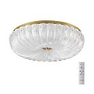 Потолочный светильник SONEX 7719/60L TESORO