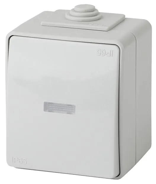 Переключатель ЭРА 11-1610-03