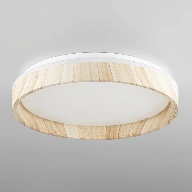 Светильник с пультом Клён Citilux CL753352G ENZO Светильник с пультом Клён Citilux CL753352G ENZO