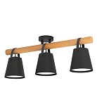 Потолочный светильник Eglo 43635 BOYLE