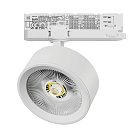 Светильник для трековой системы Quattro LED Lightstar A5646QT ALTA PRO