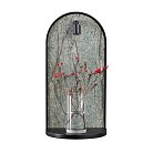 Бра Odeon light 7176/3WL GIARDINO