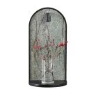 Бра Odeon light 7176/3WL GIARDINO