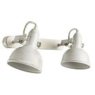 Спот Arte Lamp A5213AP-2WG MARTIN