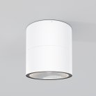 Потолочный светильник Maytoni O310CL-L12W3K Spin