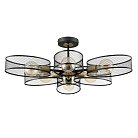 Потолочная люстра Lumion 8153/6C VIVANA