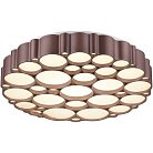Потолочный светильник Vele Luce VL7156L01 Bible 2264
