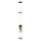 Подвесной светильник Loft IT 10121/2P Dark grey Jardin