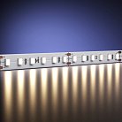 Светодиодная лента Led Strip Maytoni 201085