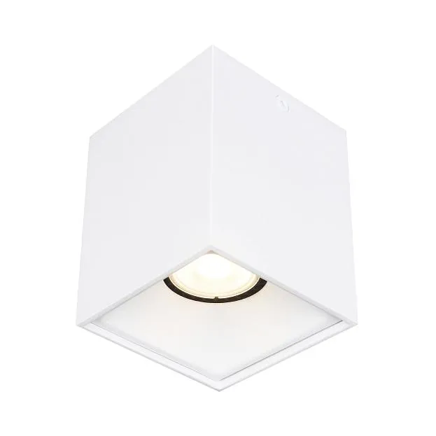 Светильник потолочный ST-Luce ST168.502.01