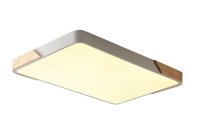 Светильник потолочный ZORTES ZRS.01233.60 ALBERRO