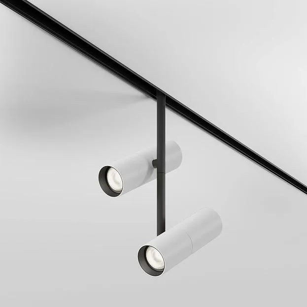 Трековый светильник Technical Maytoni TR005-4-2X12W-DS-BW Elti Duo